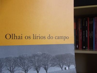Ufrgs sediará mostra 'Olhai os Lírios do Campo 80 anos' Ufrgs sediará mostra 'Olhai os Lírios do Campo 80 anos'
