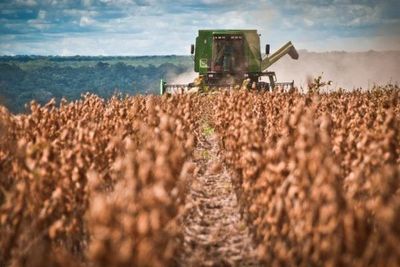 Produção de grão teve aumento de 4% neste ano e impacta economia gaúcha Produção de grão teve aumento de 4% neste ano e impacta economia gaúcha